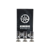 Minikin Coil 0.3/0.8ohm- Asmodus
