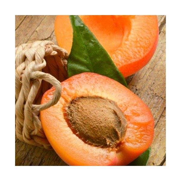 Apricot Flavor - PA