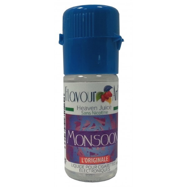 FlavourArt Monsoon