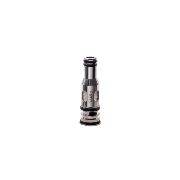 Coils P6 0.5Ω - Kamry