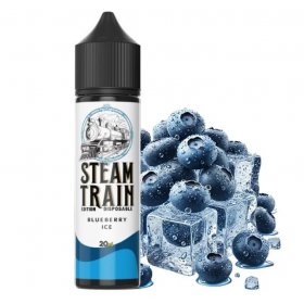 Steam Train Disposable Edition Blueberry Ice 60ml
