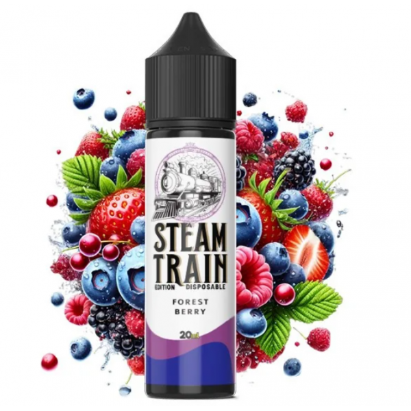 Steam Train Disposable Edition Forest Berry 60ml