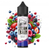 Steam Train Disposable Edition Forest Berry 60ml