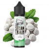 Steam Train Disposable Edition Los Polos 60ml