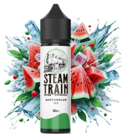 Steam Train Disposable Edition Watermelon Ice 60ml