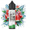 Steam Train Disposable Edition Watermelon Ice 60ml