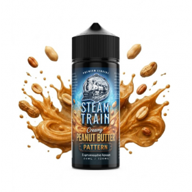 Steam Train Pattern 24ml/120ml