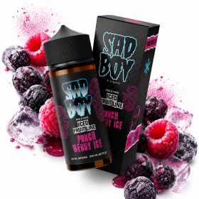 SADBOY Punch Berry Iced 120ml