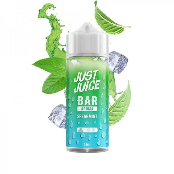 Just Juice Bar Aroma Spearmint 24/120ml