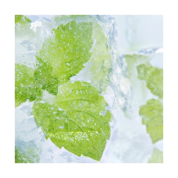 Menthol Liquid (PG) - TPA