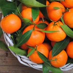 TPA - Orange Mandarin