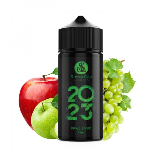 Steam City 2023 Apple Grape Flavour shot (120ML)